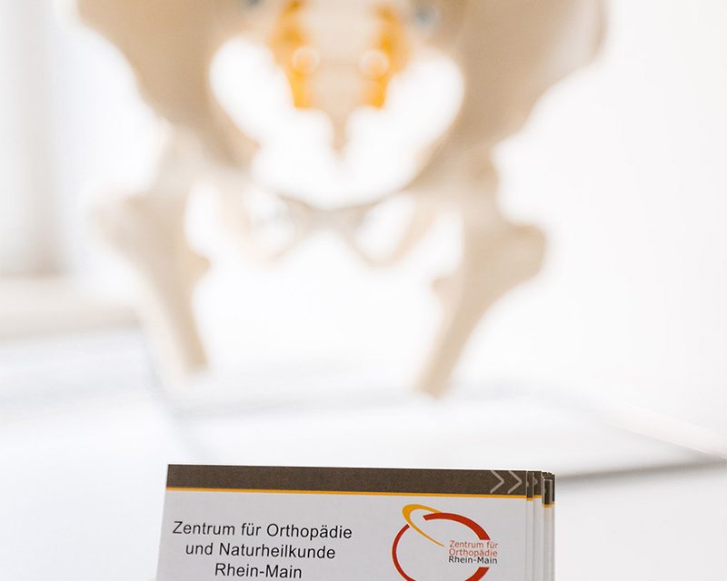 Praxis Hattersheim: Visitenkarten vor einem Modell einer Hüfte